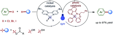 Graphical abstract: Dual aminoquinolate diarylboron and nickel catalysed metallaphotoredox platform for carbon–oxygen bond construction