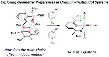 Graphical abstract: Insight into geometric preferences in uranium(vi) mixed tris(imido) systems