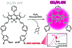 Graphical abstract: Electrochemiluminescent detection of glucose in human serum by BODIPY-based chemodosimeters for hydrogen peroxide using accelerated self-immolation of boronates