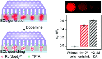 Graphical abstract: Nanocage-confined electrochemiluminescence for the detection of dopamine released from living cells