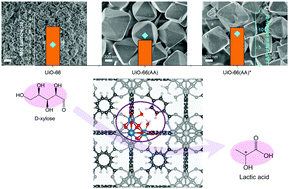 Graphical abstract: Engineering zirconium-based UiO-66 for effective chemical conversion of d-xylose to lactic acid in aqueous condition