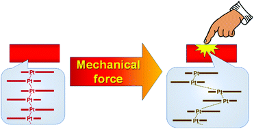 Graphical abstract: Phase transformation induced mechanochromism in a platinum salt: a tale of two polymorphs