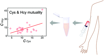 Graphical abstract: Mutual correlation evaluation of Cys and Hcy in serum through reaction activity regulated fluorescence quantification