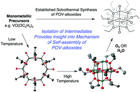 Graphical abstract: Mechanistic insights into polyoxometalate self-assembly in organic solvent: conversion of a cyclic polyoxovanadate-ethoxide to its Lindqvist congener