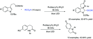 Graphical abstract: Visible-light-induced dearomative oxamination of indole derivatives and dearomative amidation of phenol derivatives