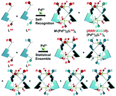 Graphical abstract: Remarkable self-sorting selectivity in covalently linked homochiral and heterochiral pairs driven by Pd2L4 helicate formation