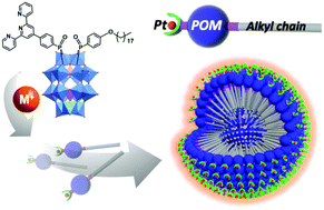 Graphical abstract: Transition metal decorated soft nanomaterials through modular self-assembly of an asymmetric hybrid polyoxometalate