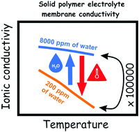 Graphical abstract: Water content in solid polymer electrolytes: the lost knowledge