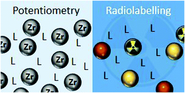 Graphical abstract: Reply to the ‘Comment on “Investigation of Zr(iv) and 89Zr(iv) complexation with hydroxamates: progress towards designing a better chelator than desferrioxamine B for immuno-PET imaging”’ by A. Bianchi and M. Savastano, Chem. Commun., 2020, 56, D0CC01189D