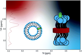 Graphical abstract: A quantitative assay to study the lipid selectivity of membrane-associated systems using solution NMR