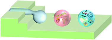 Graphical abstract: Step emulsification in microfluidic droplet generation: mechanisms and structures