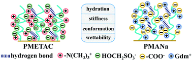 Graphical abstract: Ionic hydrogen bond effects on polyelectrolyte brushes beyond the hydronium and hydroxide ions