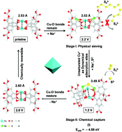 Graphical abstract: Dynamic single-site polysulfide immobilization in long-range disorder Cu-MOFs