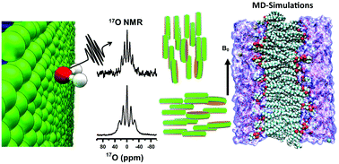 Graphical abstract: Natural-abundance 17O NMR spectroscopy of magnetically aligned lipid nanodiscs