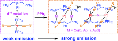 Graphical abstract: From homonuclear to heteronuclear: a viable strategy to promote and modulate phosphorescence