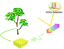 Graphical abstract: Full-color natural rubber latex with a photonic nanostructure composite