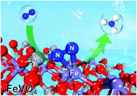 Graphical abstract: FeVO4 porous nanorods for electrochemical nitrogen reduction: contribution of the Fe2c–V2c dimer as a dual electron-donation center