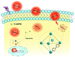 Graphical abstract: Lanthanide metal–organic frameworks with nitrogen functional sites for the highly selective and sensitive detection of NADPH