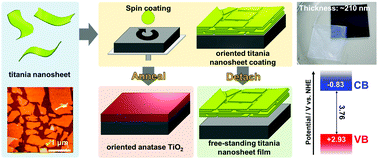 Graphical abstract: A perfectly oriented, free-standing and transparent titania nanosheet film with the band gap of a monolayer