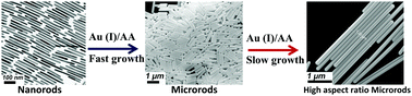 Graphical abstract: Solution synthesis of anisotropic gold microcrystals