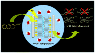 Graphical abstract: Near perfect head-to-head selectivity on the supramolecular photocyclodimerisation of 2-anthracenecarboxylate with self-organised gemini surfactant bilayers