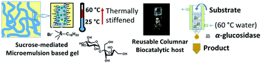 Graphical abstract: Sucrose-mediated heat-stiffening microemulsion-based gel for enzyme entrapment and catalysis