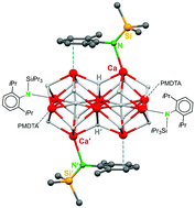 Graphical abstract: Large decanuclear calcium and strontium hydride clusters