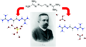 Graphical abstract: Iminoguanidines: from anion recognition and separation to carbon capture