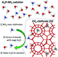 Graphical abstract: Cage occupancy of methane clathrate hydrates in the ternary H2O–NH3–CH4 system