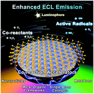Graphical abstract: Recent advances in co-reaction accelerators for sensitive electrochemiluminescence analysis