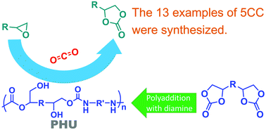 Graphical abstract: Poly(hydroxyurethane): catalytic applicability for the cyclic carbonate synthesis from epoxides and CO2