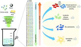 Graphical abstract: Antibacterial lipo-random peptide mixtures exhibit high selectivity and synergistic interactions