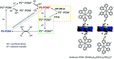 Graphical abstract: Is electron ping-pong limiting the catalytic hydrogen evolution activity in covalent photosensitizer–polyoxometalate dyads?