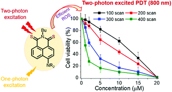 Graphical abstract: Design and synthesis of efficient heavy-atom-free photosensitizers for photodynamic therapy of cancer