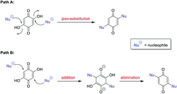 Graphical abstract: Reaction of 2,5-dihydroxy-[1,4]-benzoquinone with nucleophiles – ipso-substitution vs. addition/elimination