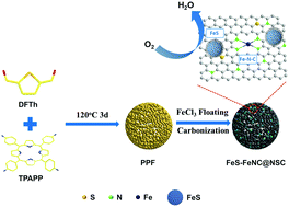 Graphical abstract: FeS/FeNC decorated N,S-co-doped porous carbon for enhanced ORR activity in alkaline media