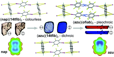 Graphical abstract: Halogen bonding to the azulene π-system: cocrystal design of pleochroism