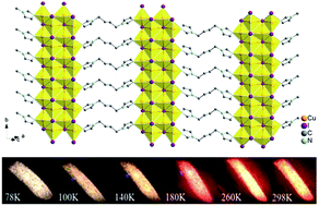 Graphical abstract: Negative thermal quenching of photoluminescence in a copper–organic framework emitter