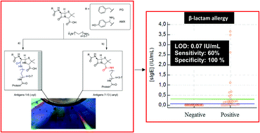 Graphical abstract: Boosting the sensitivity of in vitro β-lactam allergy diagnostic tests