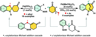 Graphical abstract: Pd-catalyzed arylation/aza-Michael addition cascade to C2-spiroindolines and azabicyclo[3.2.2]nonanones