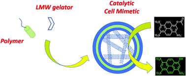 Graphical abstract: A minimalistic catalytically-active cell mimetic made of a supra-molecular hydrogel encapsulated into a polymersome