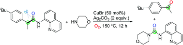 Graphical abstract: Selective C–C bond cleavage of amides fused to 8-aminoquinoline controlled by a catalyst and an oxidant