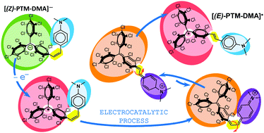 Graphical abstract: Electrocatalytic oxidative Z/E isomerization of a stilbene favoured by the presence of an electroactive persistent radical