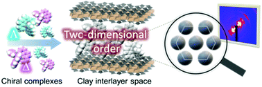 Graphical abstract: Hexagonal ordering of racemic Ni(ii) complexes in the interlayer space of a clay mineral