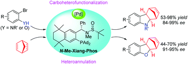 Graphical abstract: Pd/Xiang-Phos-catalyzed enantioselective intermolecular carboheterofunctionalization of norbornene and norbornadiene