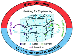Graphical abstract: Engineering hydrogels by soaking: from mechanical strengthening to environmental adaptation