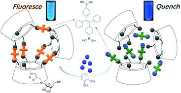 Graphical abstract: Supramolecular assemblies of glycoclusters with aggregation-induced emission for sensitive phenol detection