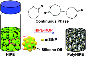 Graphical abstract: Facile synthesis of templated macrocellular nanocomposite scaffold via emulsifier-free HIPE-ROP