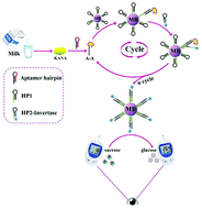 Graphical abstract: 3-D DNA nanodevices for on-site sensitive detection of antibiotic residues in food