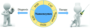 Graphical abstract: Nanoenzymes in disease diagnosis and therapy